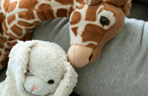 Teddy and giraffe